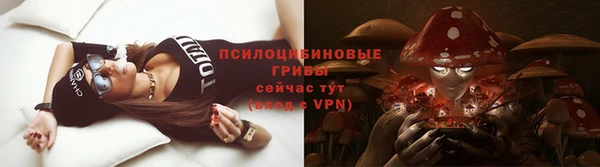 jwh Аркадак
