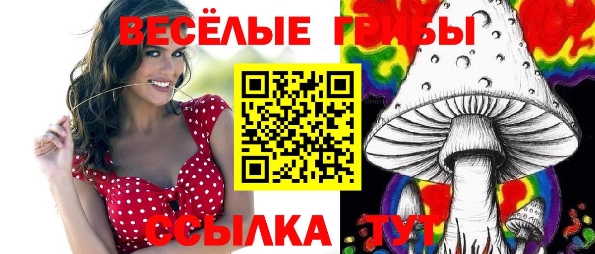 Псилоцибиновые грибы Psilocybe Аша