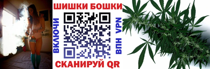 Канабис ГИДРОПОН Аша